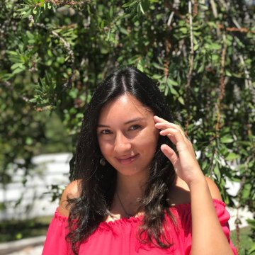 sultrymariposa de Toledo,España